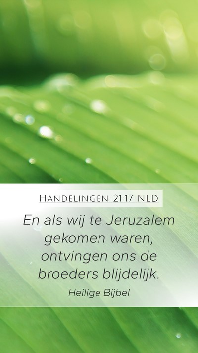 Handelingen 21:17 NLD Bible Verse Image