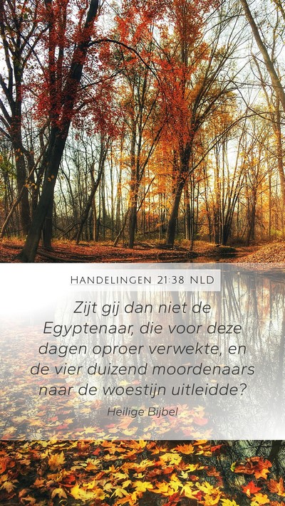Handelingen 21:38 NLD Bible Verse Image