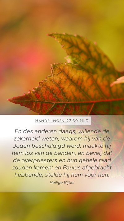 Handelingen 22:30 NLD Bible Verse Image