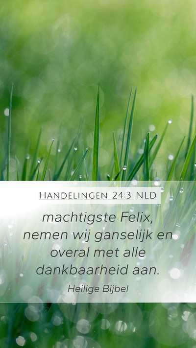 Handelingen 24:3 NLD Bible Verse Image