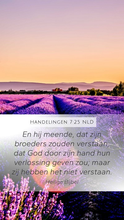 Handelingen 7:25 NLD Bible Verse Image