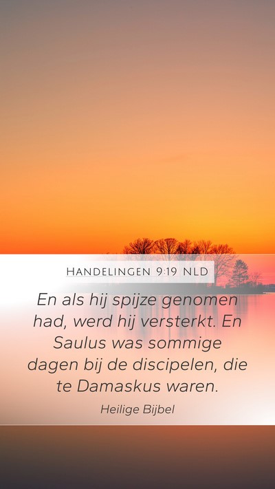 Handelingen 9:19 NLD Bible Verse Image