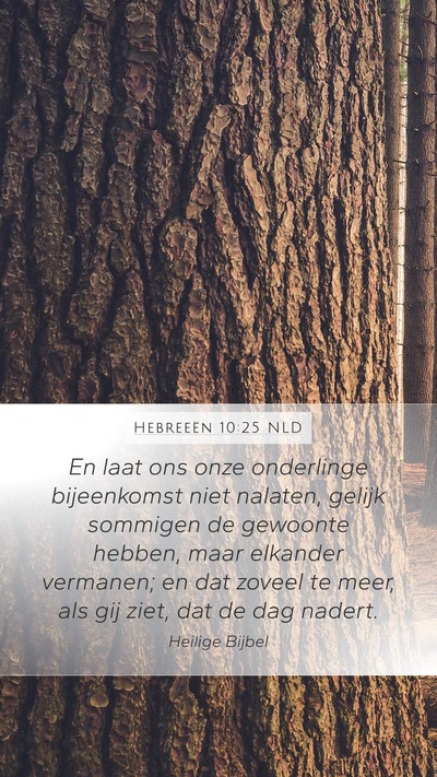 Hebreeën 10:25 NLD Mobile Phone Wallpaper - En laat ons onze onderlinge bijeenkomst niet - Mobile Bible Verse Wallpaper