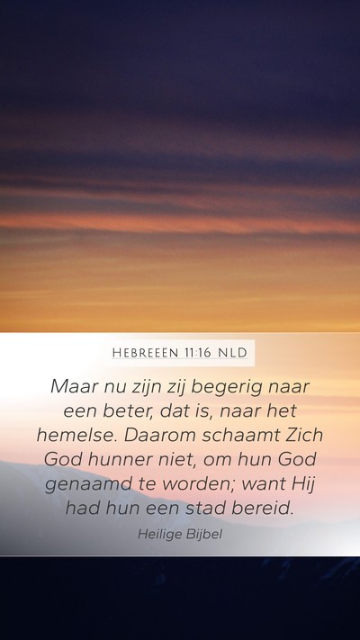 Hebreeën 11:16 NLD Bible Verse Image