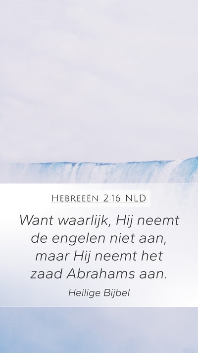 Hebreeën 2:16 NLD Bible Verse Image
