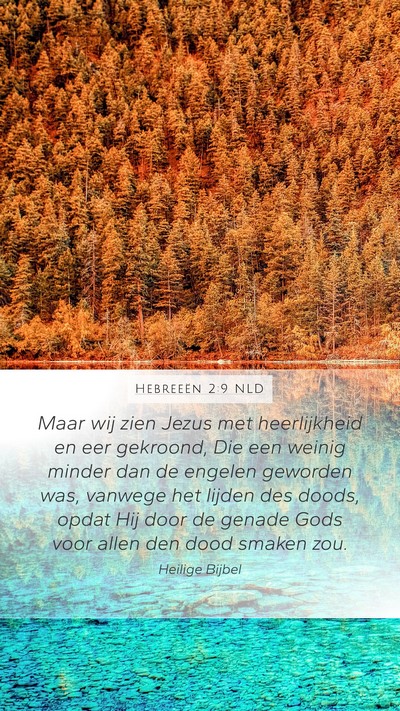 Hebreeën 2:9 NLD Bible Verse Image
