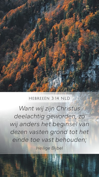 Hebreeën 3:14 NLD Bible Verse Image
