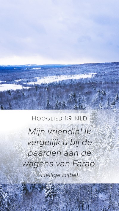 Hooglied 1:9 NLD Bible Verse Image