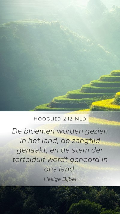 Hooglied 2:12 NLD Bible Verse Image