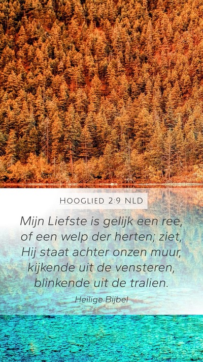 Hooglied 2:9 NLD Bible Verse Image