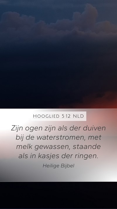 Hooglied 5:12 NLD Mobile Phone Wallpaper - Zijn ogen zijn als der duiven bij de - Mobile Bible Verse Wallpaper