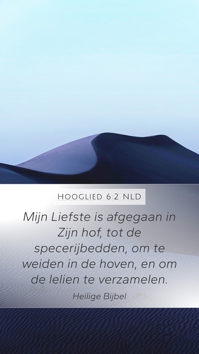 Hooglied 6:2 NLD Bible Verse Image