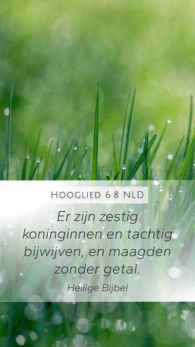 Hooglied 6:8 NLD Bible Verse Image