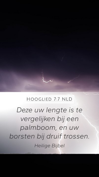 Hooglied 7:7 NLD Bible Verse Image