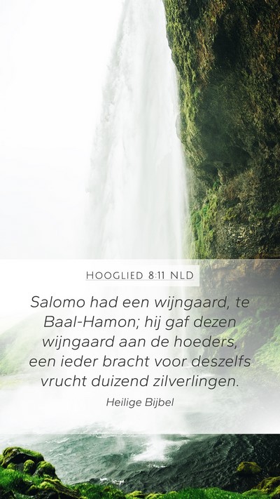 Hooglied 8:11 NLD Bible Verse Image