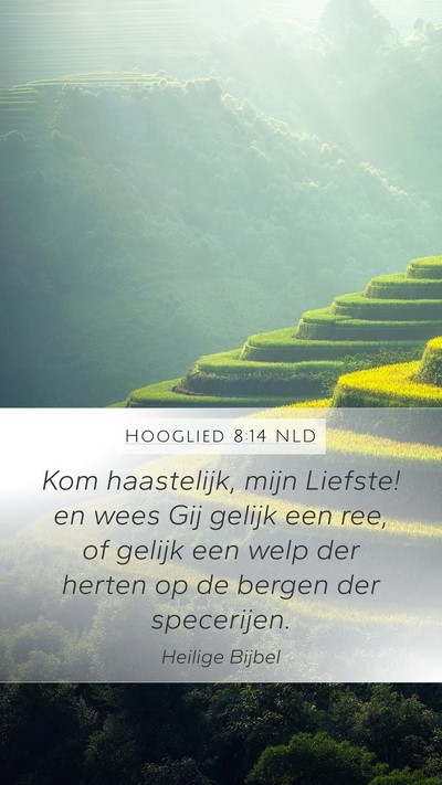 Hooglied 8:14 NLD Bible Verse Image