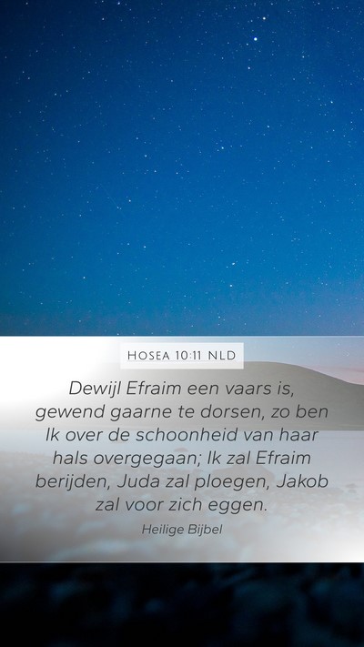 Hosea 10:11 NLD Bible Verse Image