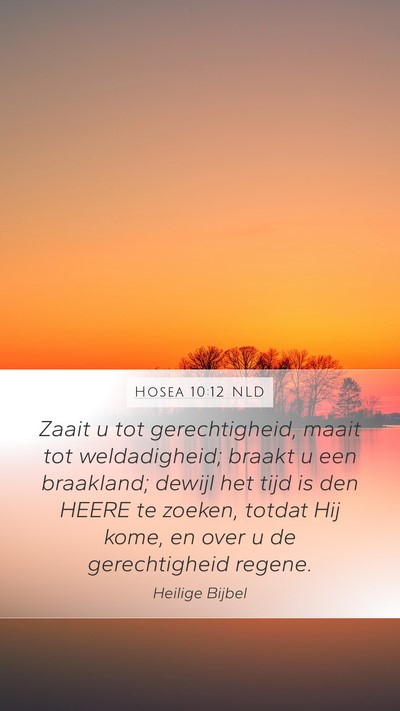 Hosea 10:12 NLD Bible Verse Image