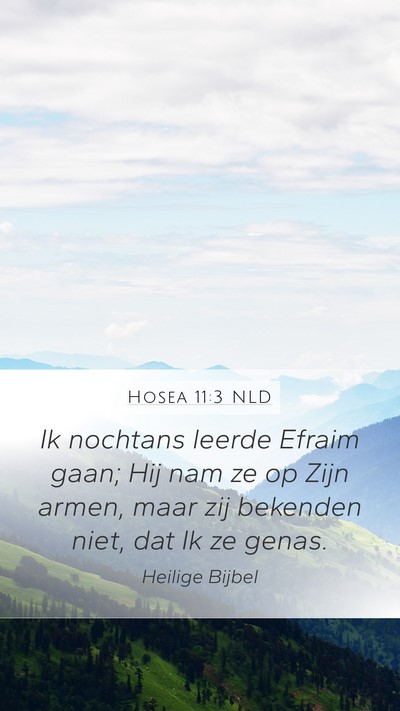 Hosea 11:3 NLD Mobile Phone Wallpaper - Ik nochtans leerde Efraim gaan; Hij nam ze op - Mobile Bible Verse Wallpaper