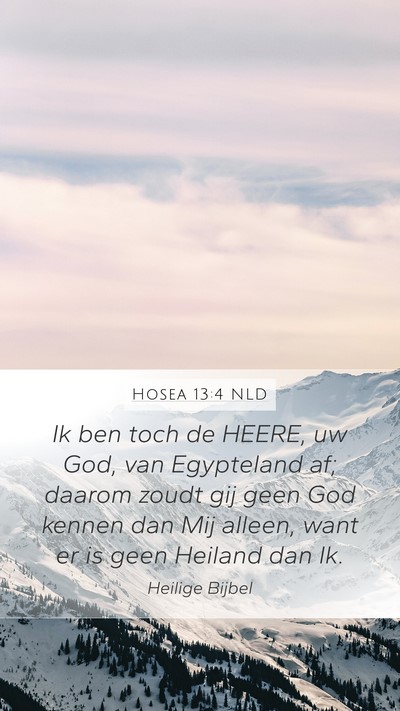 Hosea 13:4 NLD Bible Verse Image