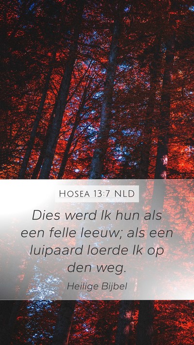Hosea 13:7 NLD Bible Verse Image