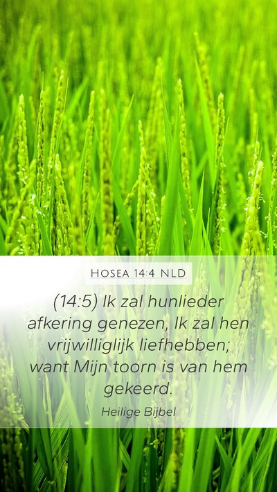 Hosea 14:4 NLD Bible Verse Image
