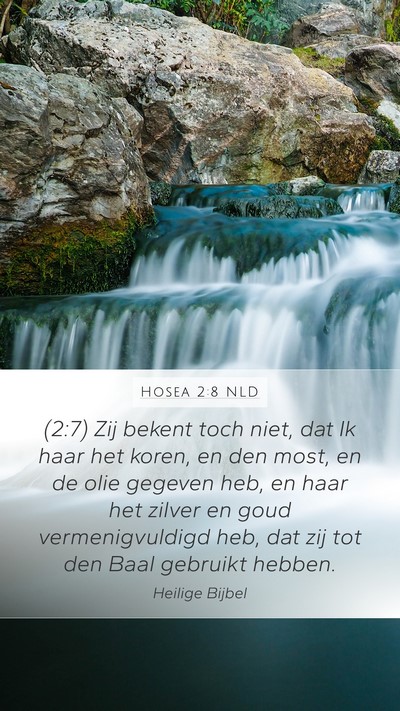 Hosea 2:8 NLD Bible Verse Image