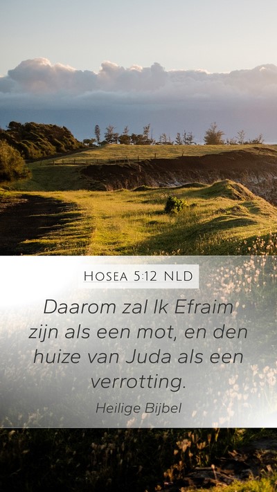 Hosea 5:12 NLD Mobile Phone Wallpaper - Daarom zal Ik Efraim zijn als een mot, en den - Mobile Bible Verse Wallpaper