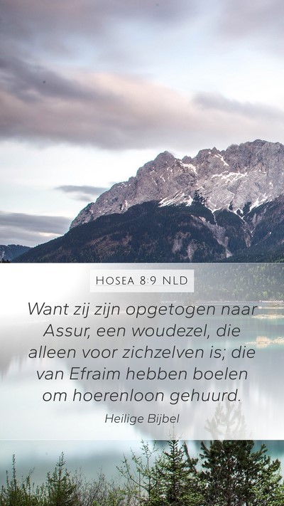 Hosea 8:9 NLD Bible Verse Image
