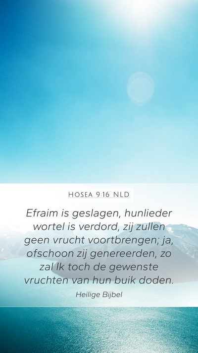 Hosea 9:16 NLD Bible Verse Image