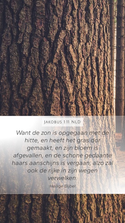Jakobus 1:11 NLD Mobile Phone Wallpaper - Want de zon is opgegaan met de hitte, en heeft - Mobile Bible Verse Wallpaper