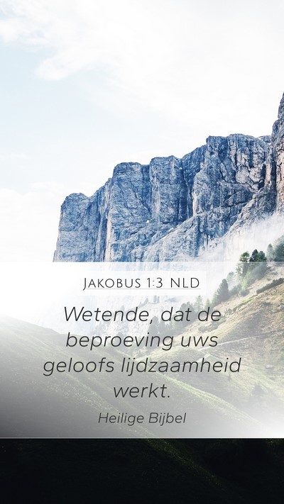 Jakobus 1:3 NLD Bible Verse Image