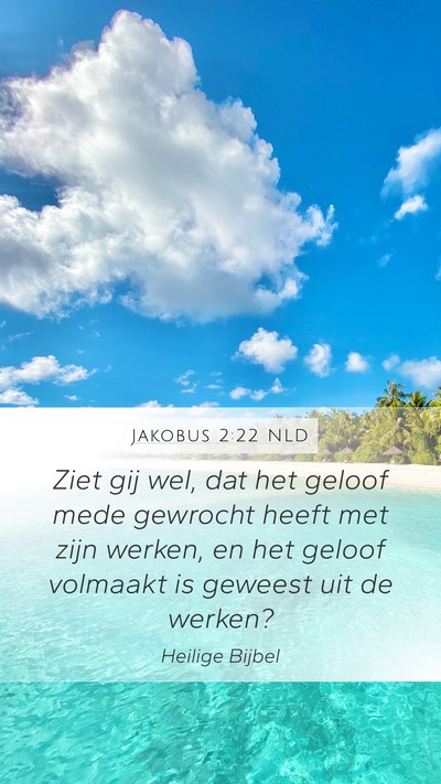 Jakobus 2:22 NLD Mobile Phone Wallpaper - Ziet gij wel, dat het geloof mede gewrocht heeft - Mobile Bible Verse Wallpaper