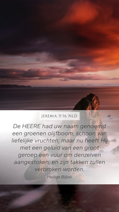 Jeremia 11:16 NLD Bible Verse Image