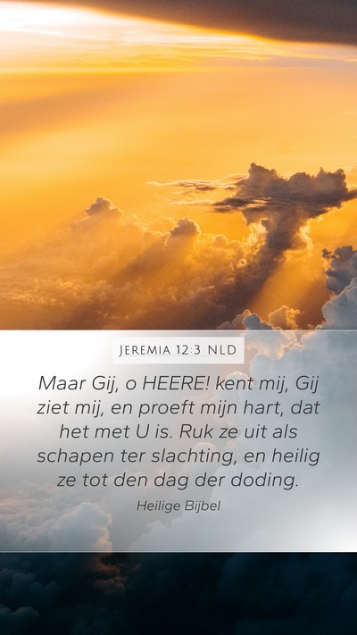 Jeremia 12:3 NLD Bible Verse Image