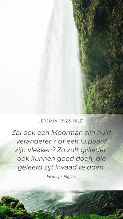 Jeremia 13:23 NLD Bible Verse Image