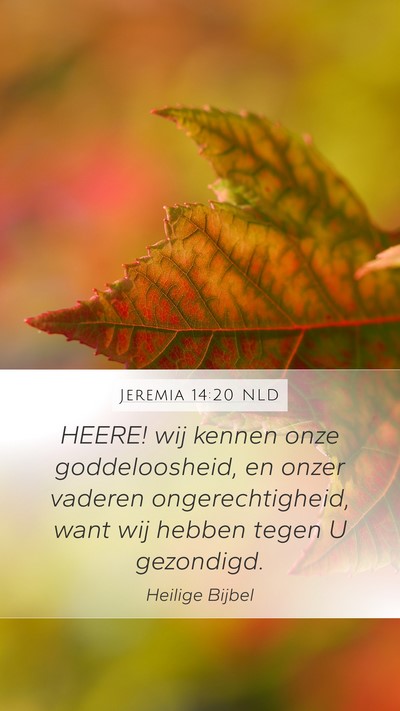 Jeremia 14:20 NLD Bible Verse Image