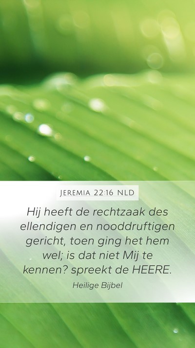 Jeremia 22:16 NLD Bible Verse Image