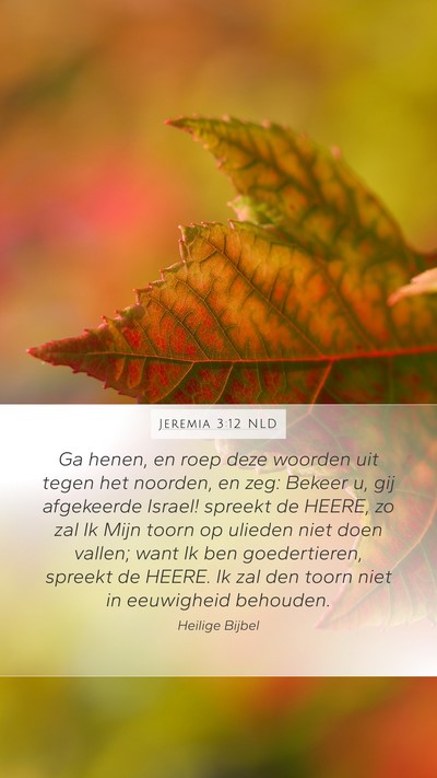 Jeremia 3:12 NLD Bible Verse Image
