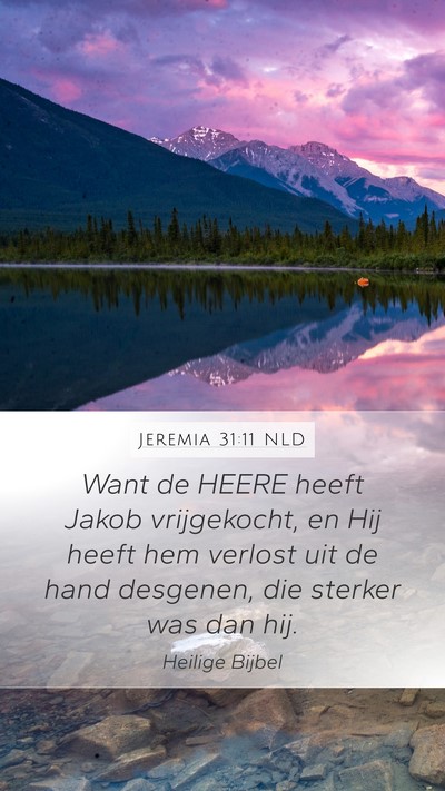 Jeremia 31:11 NLD Mobile Phone Wallpaper - Want de HEERE heeft Jakob vrijgekocht, en Hij - Mobile Bible Verse Wallpaper