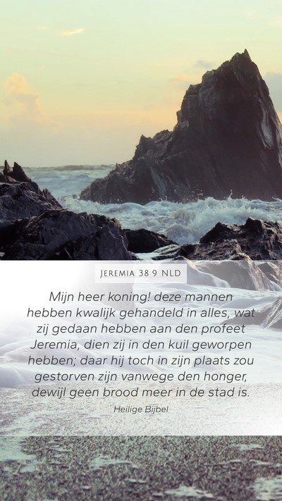 Jeremia 38:9 NLD Bible Verse Image