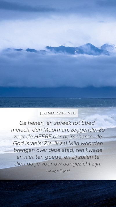 Jeremia 39:16 NLD Bible Verse Image