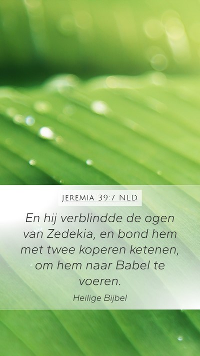 Jeremia 39:7 NLD Bible Verse Image