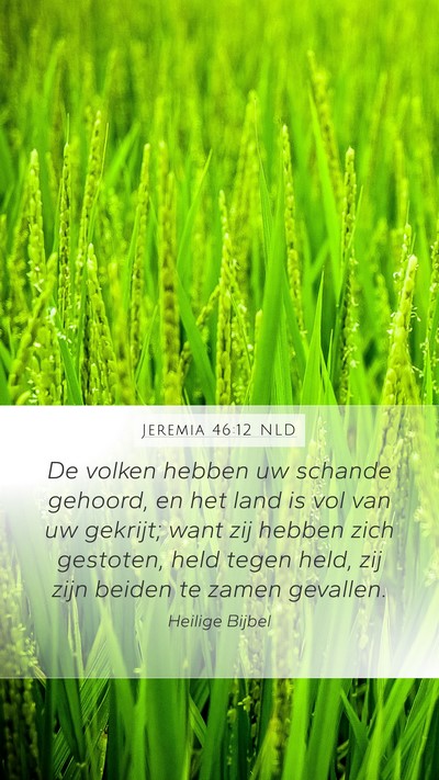 Jeremia 46:12 NLD Bible Verse Image