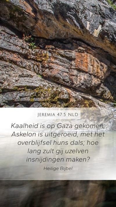 Jeremia 47:5 NLD Bible Verse Image