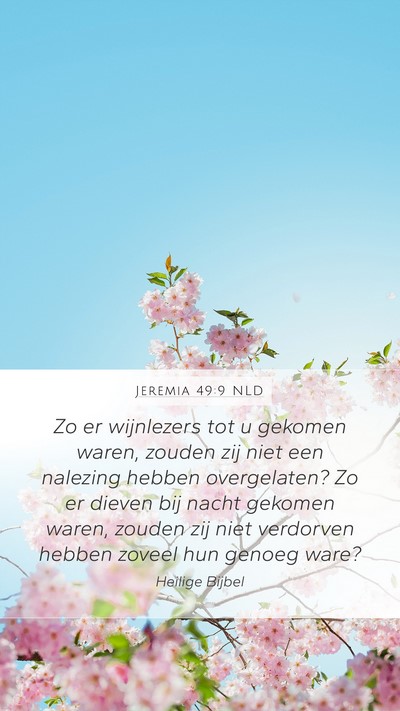 Jeremia 49:9 NLD Bible Verse Image
