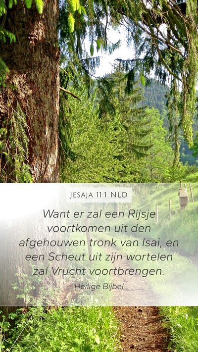 Jesaja 11:1 NLD Bible Verse Image