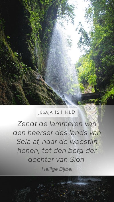 Jesaja 16:1 NLD Mobile Phone Wallpaper - Zendt de lammeren van den heerser des lands van - Mobile Bible Verse Wallpaper
