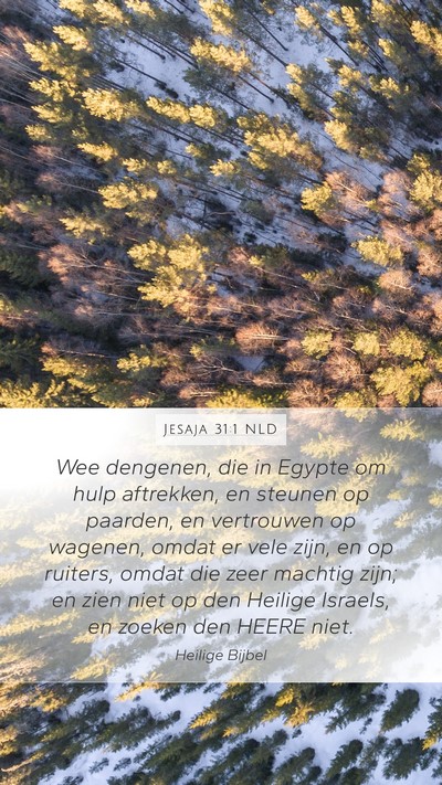 Jesaja 31:1 NLD Bible Verse Image