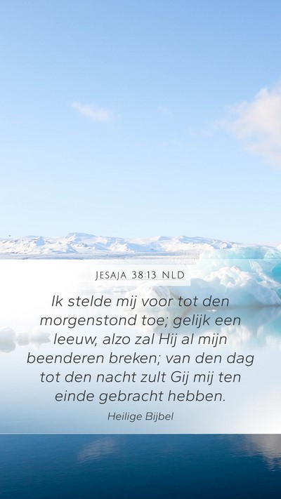 Jesaja 38:13 NLD Bible Verse Image